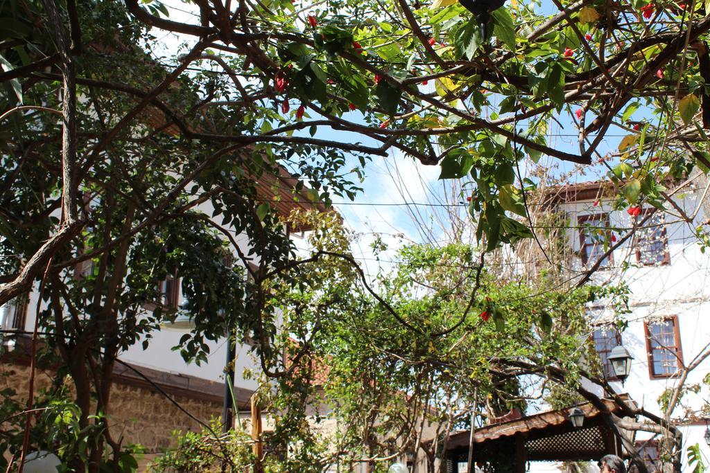 Lazer Pension Antalya Exterior photo